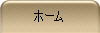 ホーム